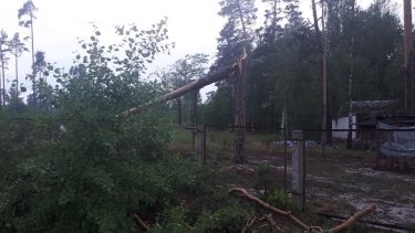 Фото 2 — Под Киевом ураган повалил деревья и оставил людей без света (ФОТО, ВИДЕО)
