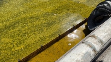 Фото 2 — Удар дрону у Чорному морі: олійна пляма зросла у понад 400 разів