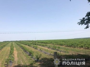 Фото 2 — В Черкасской области избили инспекторов Гоструда, явившихся с проверкой на поле голубики