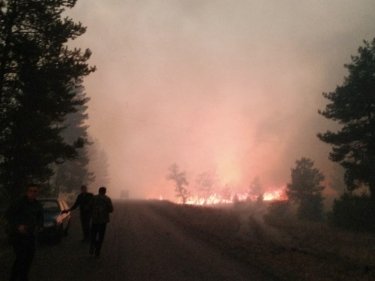 Фото 7 — Пожары в Луганской области: количество погибших возросло до девяти человек (ФОТО, ВИДЕО)