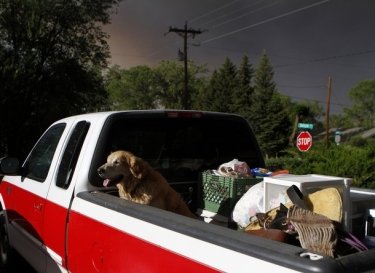Фото 26 — В США бушует крупный лесной пожар, население городов эвакуируется