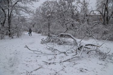 Фото 48 — На юге Украины из-за снега закрыли дороги, фуры не пускают даже в Киев (ФОТО, ВИДЕО)
