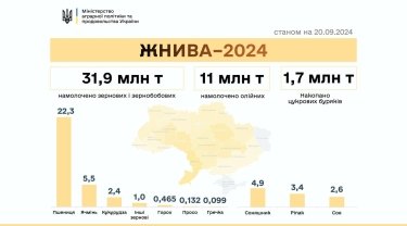 Фото 2 — Жнива-2024: в яких областях зібрали найбільше зерна та де найкраща врожайність