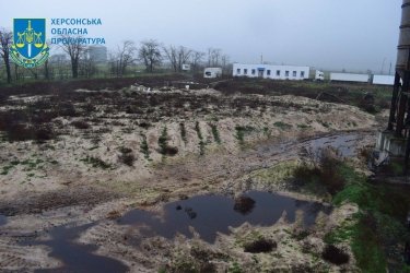 Фото 4 — В Чернобаевке обнаружили массовый мор птиц – следствие российской агрессии