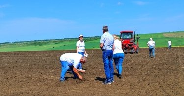 Фото 11 — В Одесской области засеяли первые экспериментальные поля хлопка (ФОТО)
