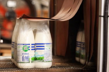 Фото 5 — Талант-менеджмент, внутрішній хантінг та навчання — досвід успішної релокації від Данон в Україні