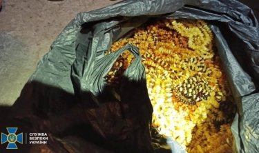 Фото 4 — СБУ ликвидировала канал сбыта янтаря в Азию (ФОТО)