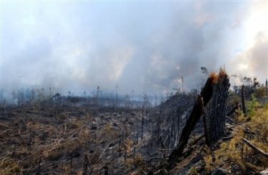 Фото 10 — В США бушует крупный лесной пожар, население городов эвакуируется