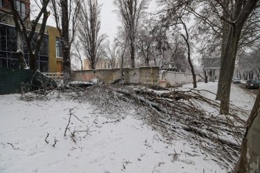 Фото 35 — На юге Украины из-за снега закрыли дороги, фуры не пускают даже в Киев (ФОТО, ВИДЕО)