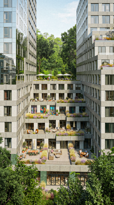 План будівництва Ozon House