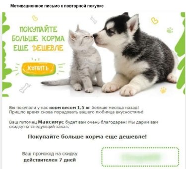 Фото 9 — Как повысить эффективность e-mail рассылок