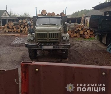Фото 3 — В Сумской области сотрудники лесхоза незаконно рубили дубовый лес (ФОТО)