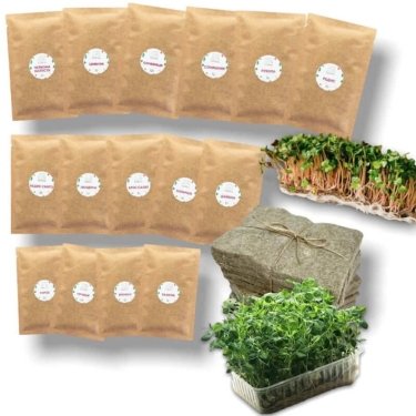 Фото 3 — Огород на подоконнике: как выращивать микрогрин для себя и стоит ли это превращать в бизнес