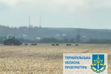 Фото 3 — "Континентал" уволил шестерых работников из-за скандала с шокирующим издевательством над кабанами