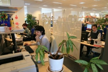 Фото 7 — Philips: сотрудники — сами строители своей карьеры