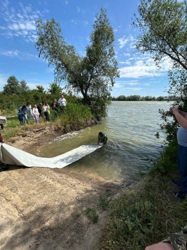 Фото 2 — На Одещині у Дунай випустили понад 30 тисяч мальків осетрових (ФОТО)