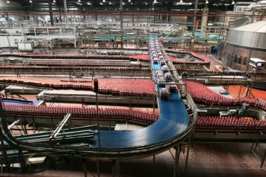 Фото 16 — 40% персонала Coca-Cola в Украине работают в компании более десяти лет