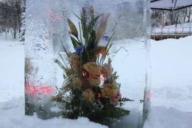 Фото 5 — Выставка цветов в ледяных глыбах и снежных скульптур открылась на Певческом поле
