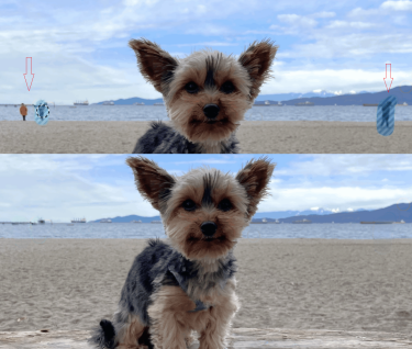 Фото 3 — Windows получил "магический" элемент на основе ИИ для редактирования фотографий