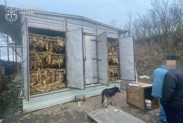 Правоохоронці виявили підпільне виробництво тютюну