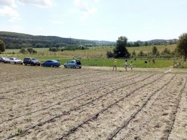 Фото 6 — ФайнаBerry: агротуризм — це цікаво для міських жителів, що виросли "на асфальті"