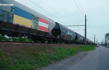 Украинское зерно начало экспортироваться в Австрию по железной дороге (ВИДЕО)