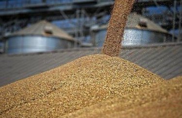 Дефицит зернохранилищ в Украине составит до 15 миллионов тонн