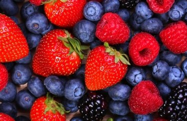 Украина увеличила экспорт ягод в ЕС в 3 раза