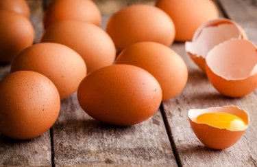 Ведущий производитель яиц в Украине сообщил о риске масштабной катастрофы из-за войны