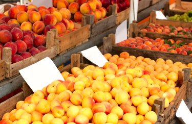 В Украине появились первые местные абрикосы: какие цены