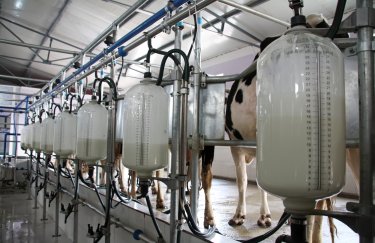 Надлишок сирого молока і запасів товарів в ЄС знижують попит трейдерів на українську продукцію