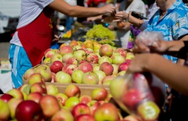 Украина хочет установить равные с Польшей условия для экспорта яблок в Египет
