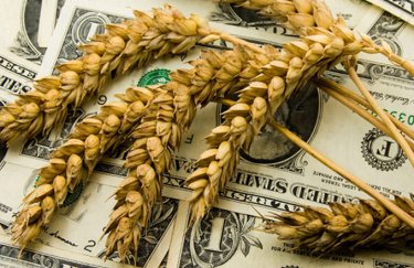 У 2024 році частка агропродовольчої продукції склала 60% в загальному експорті України Експорт агропродовольчої продукції