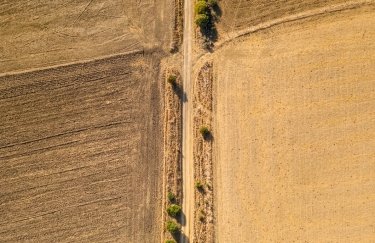 Малі та середні агропідприємства домінують в онлайн-аукціонах "Земельного банку"