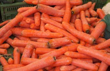 Морковь в Украине резко подорожала: какие цены