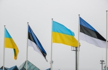 Эстония отменила бесплатные долгосрочные визы для украинцев