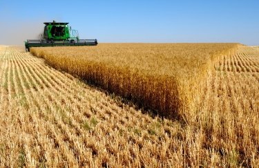 урожай пшеницы, пшеница, зерно, экспорт зерна, сбор урожая, комбайн