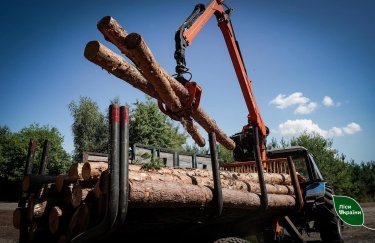 Держпідприємство "Ліси України"