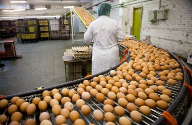 Больше всего яиц получили в Киевской области