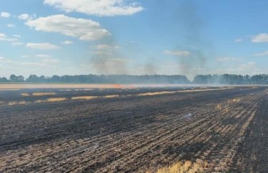 В Дніпропетровській області через ворожі обстріли згоріли понад 400 гектарів посівів