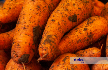 Ціни на моркву в Україні б'ють рекорди: яка вартість