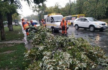 По Киеву пронесся мощный ураган, повалены деревья и повреждены авто (ФОТО)