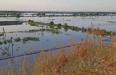 Єдиний державний осетровий завод в Україні було повністю затоплено. Фото: пресслужба МінАПК Єдиний державний осетровий завод в Україні було повністю затоплено. Фото: пресслужба МінАПК