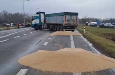 Минагрополитики сделало заявление об уничтожении украинского зерна на границе с Польшей