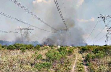В Аргентине произошел масштабный блекаут из-за пожара возле АЭС