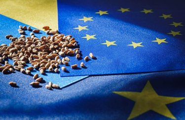 У 2023 році обсяги експорту української агропродукції до ЄС склали 12,6 млрд дол. США Консервовані томати, варення, курятина: чим Україна годує Європу