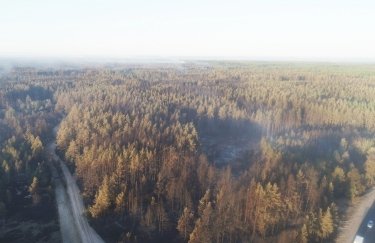 Пожар в Луганской области. Фото: ГСЧС