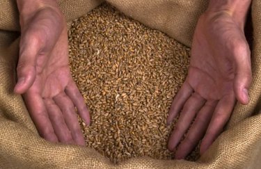 Росія розробляє  план постачання зерна в Африку, щоб витіснити з ринку Україну