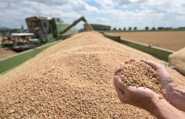 Обмеження на імпорт українського зерна до п'яти країн-сусідів можуть продовжити до жовтня