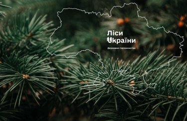 ФГИУ продал непрофильные активы "Лесов Украины": удалось выручить почти 10 миллионов гривен